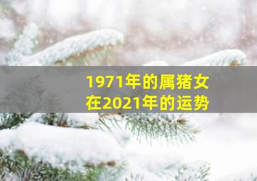 1971年的属猪女在2021年的运势