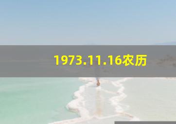 1973.11.16农历