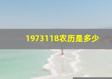 1973118农历是多少