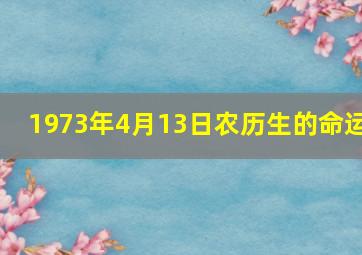 1973年4月13日农历生的命运