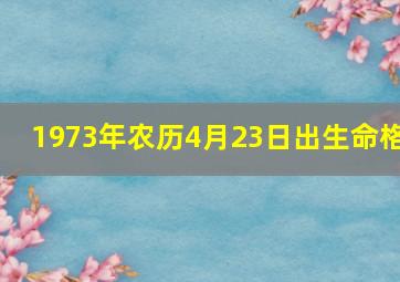 1973年农历4月23日出生命格