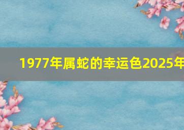 1977年属蛇的幸运色2025年