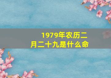 1979年农历二月二十九是什么命