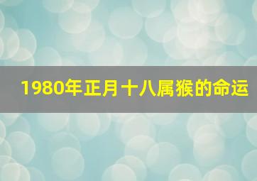 1980年正月十八属猴的命运