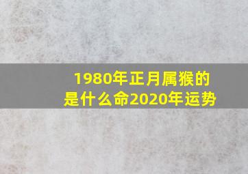 1980年正月属猴的是什么命2020年运势