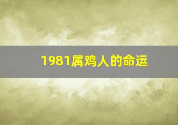 1981属鸡人的命运