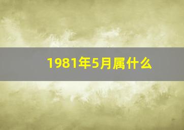 1981年5月属什么