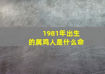 1981年出生的属鸡人是什么命