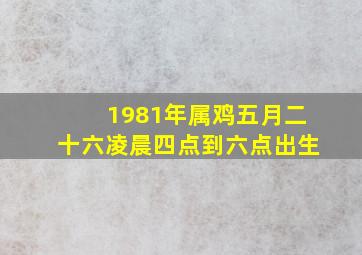 1981年属鸡五月二十六凌晨四点到六点出生