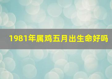 1981年属鸡五月出生命好吗