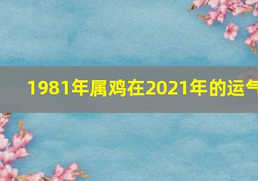 1981年属鸡在2021年的运气