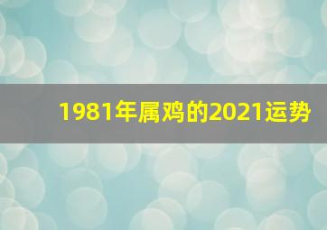 1981年属鸡的2021运势