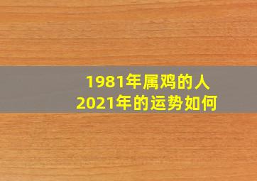 1981年属鸡的人2021年的运势如何