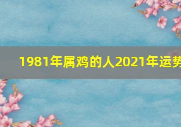 1981年属鸡的人2021年运势