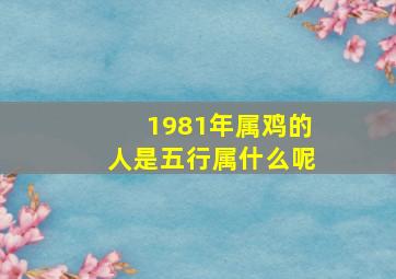 1981年属鸡的人是五行属什么呢