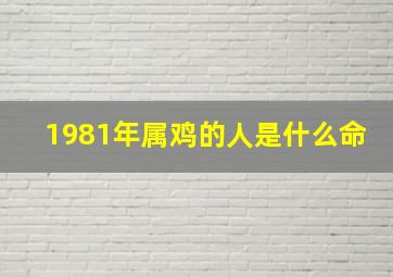 1981年属鸡的人是什么命