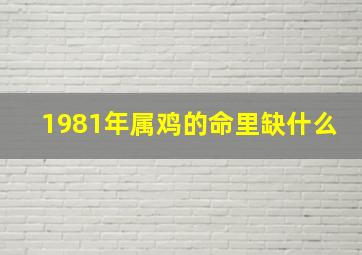 1981年属鸡的命里缺什么