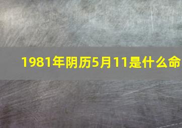 1981年阴历5月11是什么命