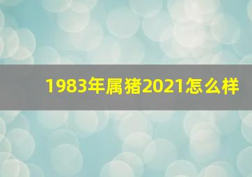 1983年属猪2021怎么样