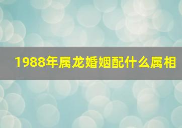 1988年属龙婚姻配什么属相