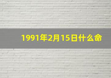 1991年2月15日什么命