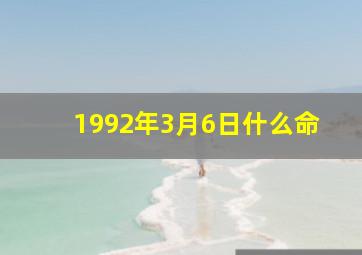 1992年3月6日什么命