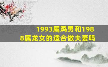 1993属鸡男和1988属龙女的适合做夫妻吗