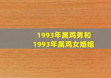 1993年属鸡男和1993年属鸡女婚姻