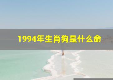 1994年生肖狗是什么命