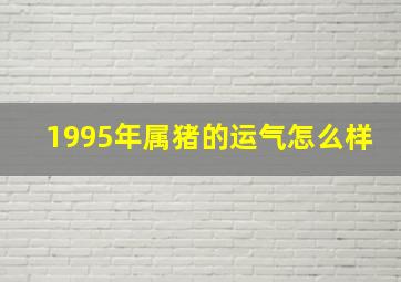 1995年属猪的运气怎么样