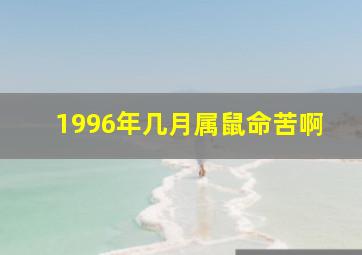 1996年几月属鼠命苦啊