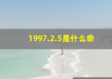 1997.2.5是什么命