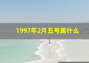 1997年2月五号属什么