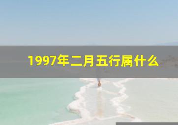 1997年二月五行属什么