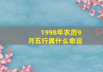 1998年农历9月五行属什么命运