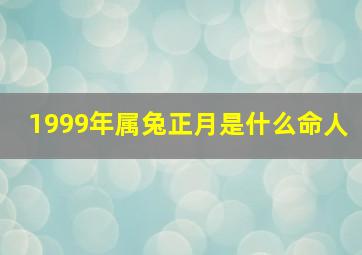 1999年属兔正月是什么命人