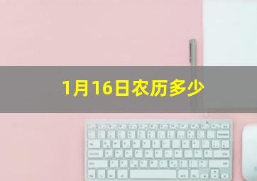 1月16日农历多少