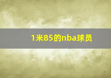 1米85的nba球员