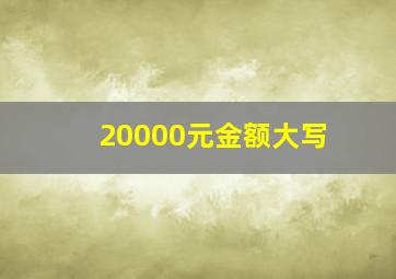 20000元金额大写