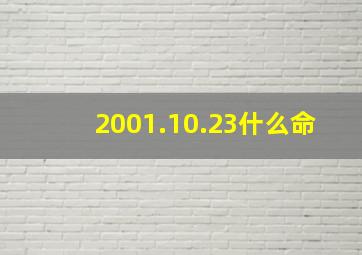 2001.10.23什么命