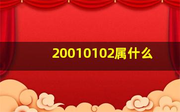 20010102属什么