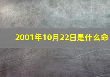 2001年10月22日是什么命