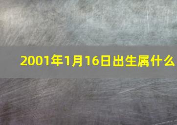 2001年1月16日出生属什么