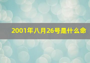 2001年八月26号是什么命