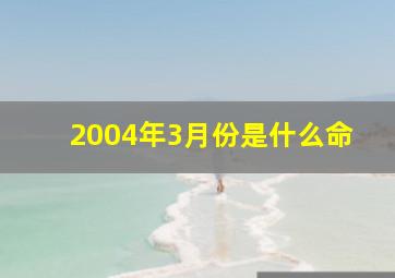 2004年3月份是什么命