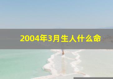 2004年3月生人什么命