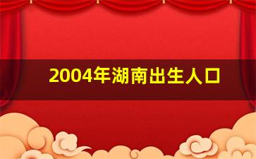 2004年湖南出生人口