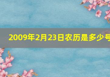 2009年2月23日农历是多少号