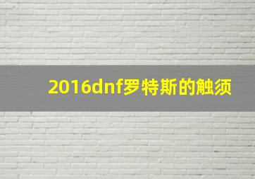 2016dnf罗特斯的触须