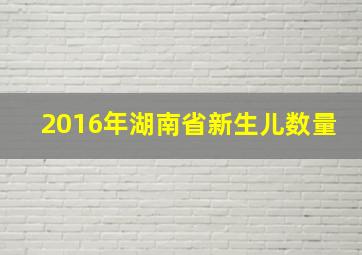 2016年湖南省新生儿数量